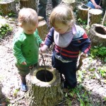Woodland play