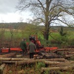 wood mizer at HW